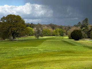 In the heart of High Elms