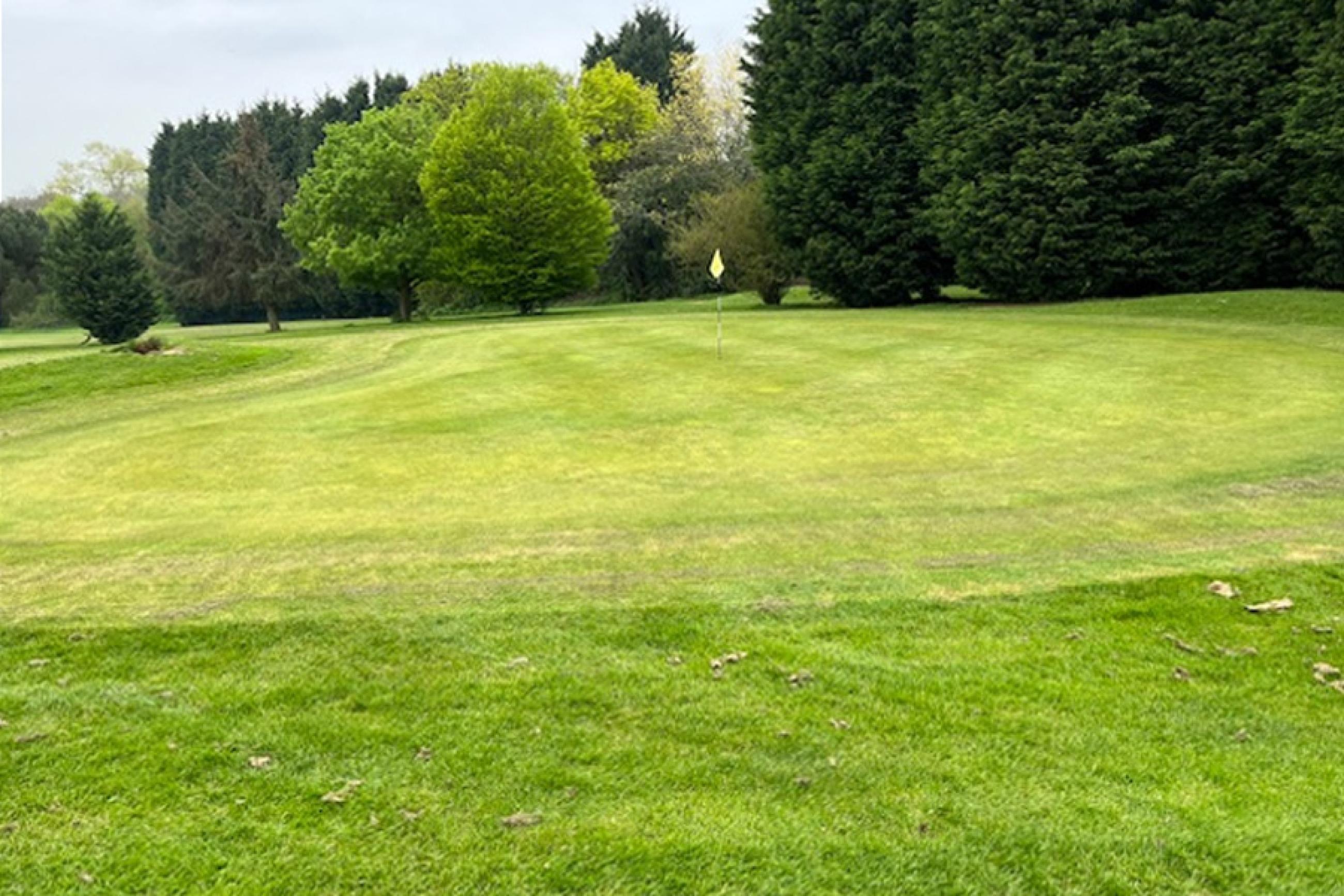 Come and play at Cocks Moors Woods