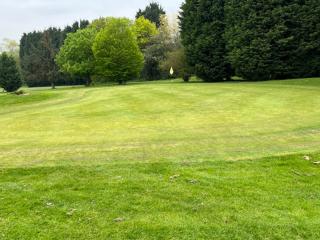 Come and play at Cocks Moors Woods