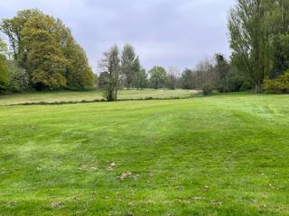 Welcome to Cocks Moors Woods